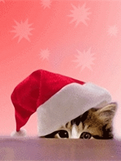 59683168c7274d61473e42e2a8c4cba8[1].gif