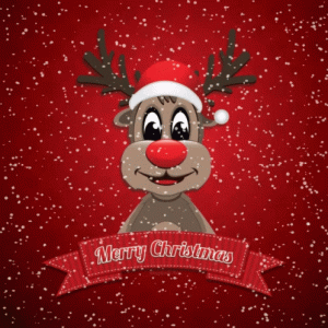 83ed3166fd027271f102bc32dfd9c991[1].gif