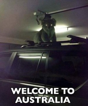 sky-welcome-to-australia.jpg