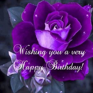 352230-Very-Happy-Birthday-Violet-Rose.jpg