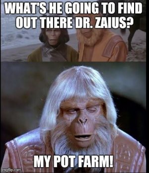 bgdg.JPG