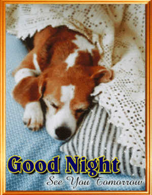 a5c284d893017934c9441c5592229f2f[1].gif