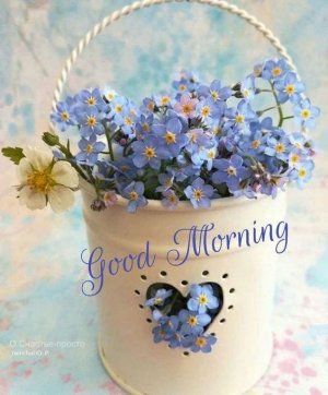 e5b74efb58d5cdfc209b6a774d9f2ee2[1].jpg