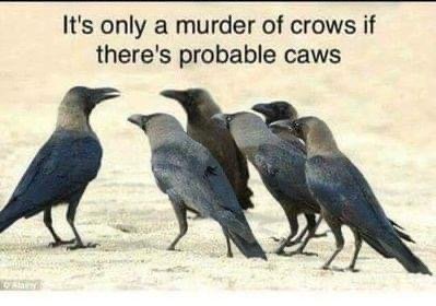 16E21E07-9753-4924-AE99-5D21F2237EA1.jpeg