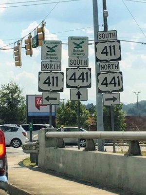 316673180_514292757410525_8886326061709948986_n.jpg
