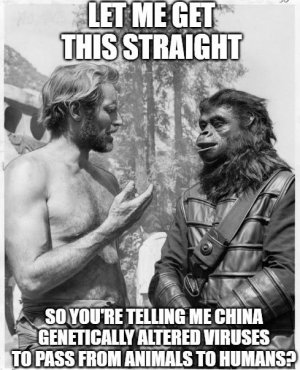 ofvuifc.JPG
