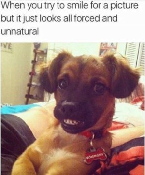 fun3.jpg