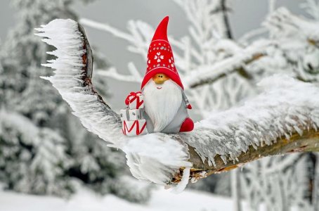 santa-claus-1819933__480.jpg