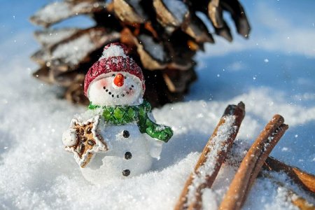 snowman-1882635__480.jpg