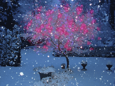 winter-icegif-14.gif
