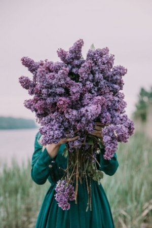 Tumblr_l_110264278350978.jpg