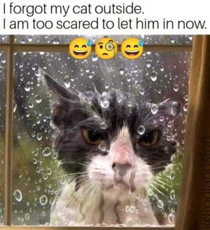 FB_IMG_1669701324017.jpg