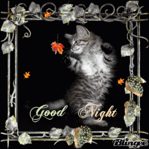 6200c1a2fe817d6cbdfefdd4a27b9180.gif