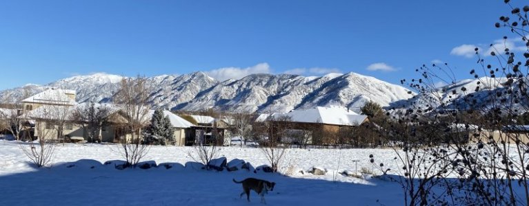 IMG_3275.jpg