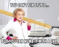 75566-You-Cant-Fix-Stupid.jpg