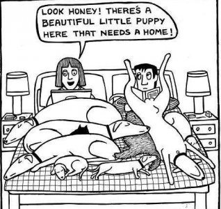 needs a home.jpg