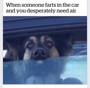 590DE001-9DF7-4A15-B7F7-0A4C786C9C2F.jpeg