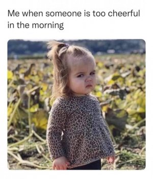 344F18D0-725B-4428-BD15-F38D98510485.jpeg