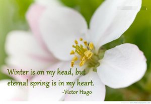 1240922962-quotes_spring__2_.jpg