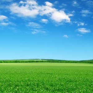 blue-sky.jpg