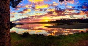 Sawtell.jpg
