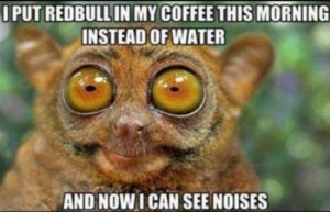 redbull.jpg