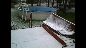 Snapshot 1 (4-27-2017 10-26 AM).jpg