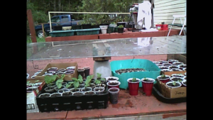 Snapshot 8 (4-28-2017 12-41 PM).png