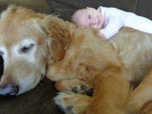 IMG_2560.JPG