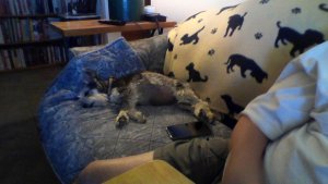 loveseat.jpg
