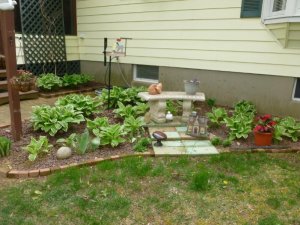 hostas (800x600).jpg