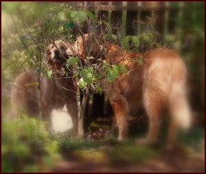 aj in the mirror 1.jpg