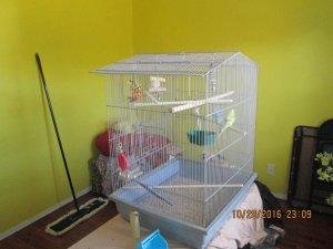 IMG_1378.jpg