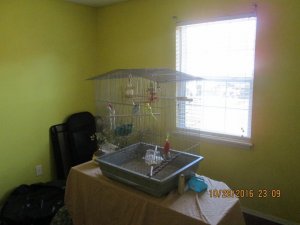 IMG_1377.jpg