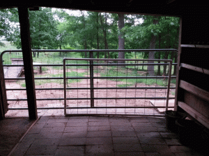 gate2.gif