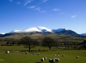 Skiddaw2.jpg