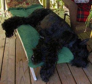 tball5 (2).jpg tball5 (2).jpg