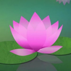 learn+to+meditate.jpg