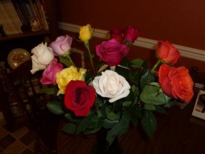 roses (800x600).jpg