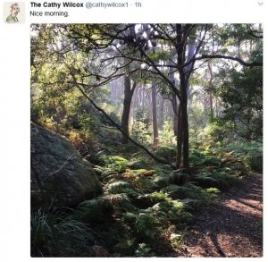 Autumn in Australia.JPG