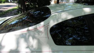 IMG_0016.jpg