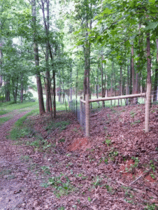 fence52517.gif