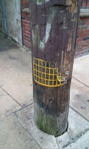 20170529_111503.jpg
