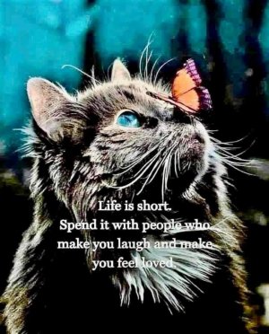FB_IMG_1669700855946.jpg