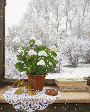 Tumblr_l_115971980103241.gif