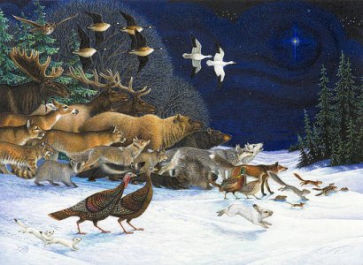 the-christmas-star-lynn-bywaters.jpg