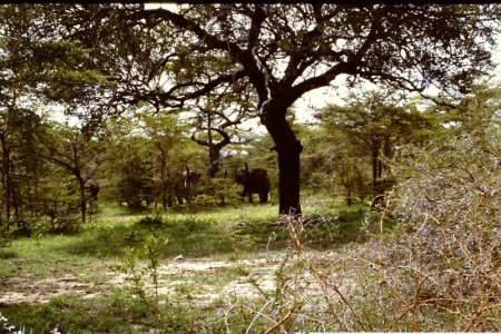 Tanzania 066.JPG
