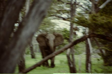 Tanzania 069.JPG