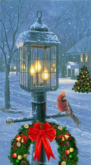 e78b5d5321916ec581fef9e35a714b49[1].jpg
