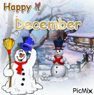 1669873539438.gif